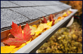 A Roof That Needs Gutter Cleaning Services
